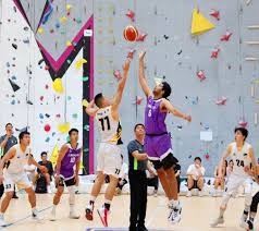 [乒乓球]林高远／刘诗雯获得全运会混双决赛阶段资格